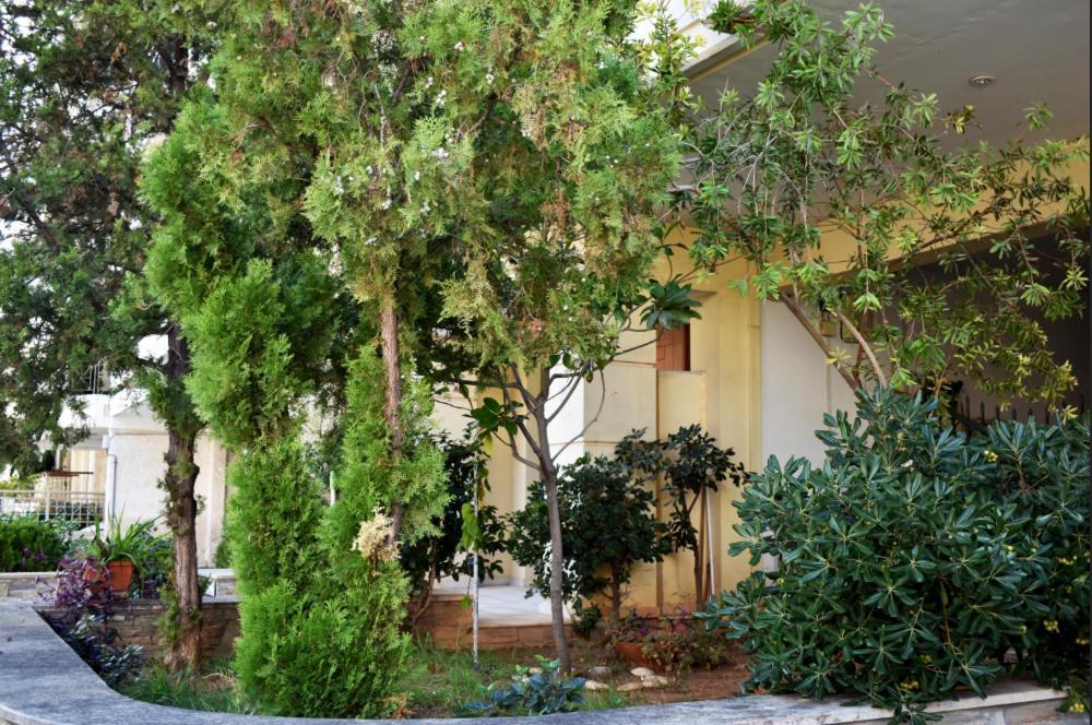 Zoe'S Apartment Bright&Cozy เอเธนส์ ภายนอก รูปภาพ